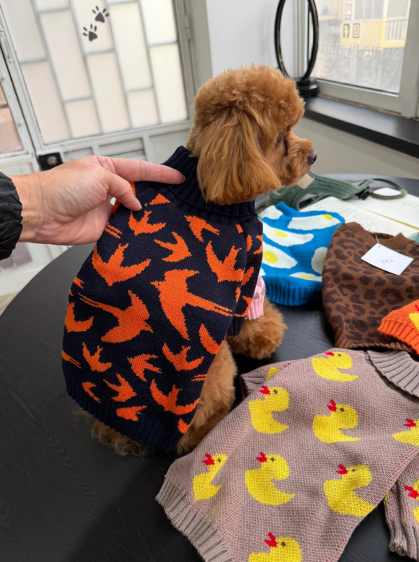 Camisola de malha para cão