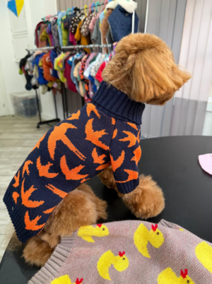 Camisola de malha para cão