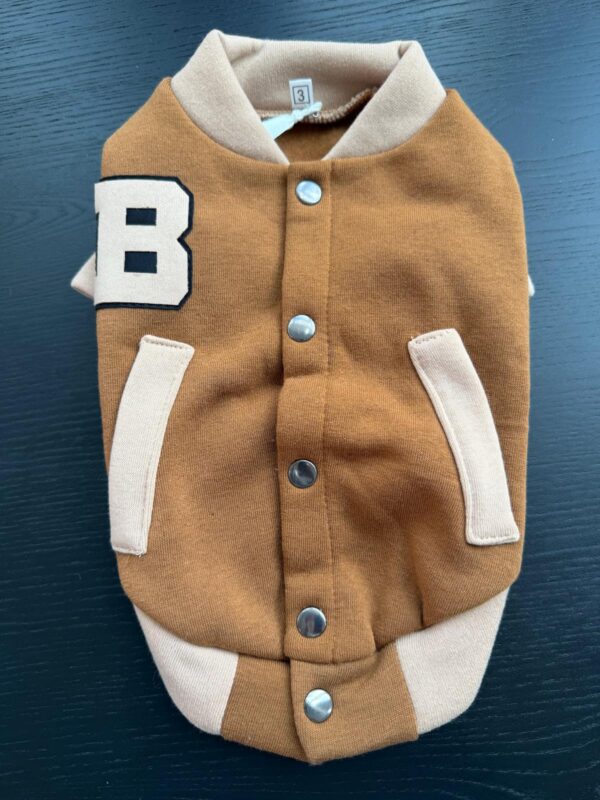Casaco Varsity Style para Cão