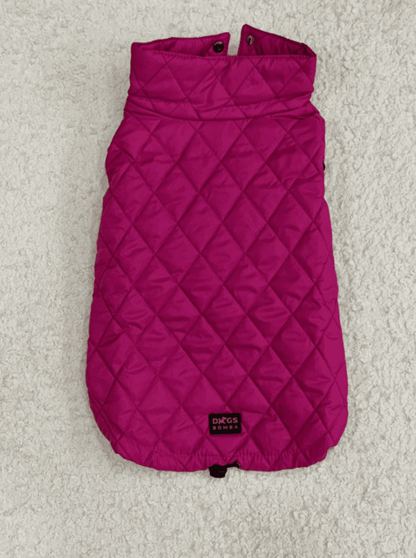 Casaco Acolchoado para Cão – Modelo Conforto