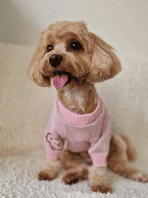Camisola de Malha para Cão – Ursinhos Rosa