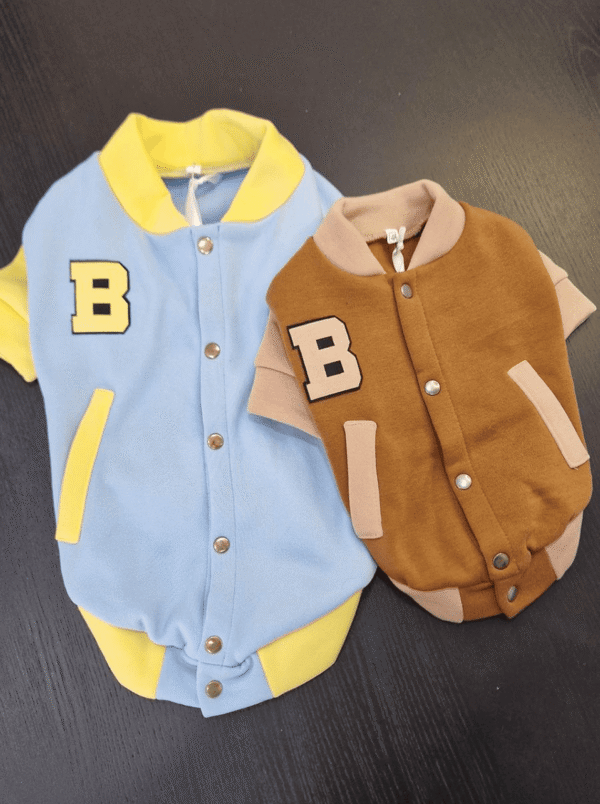 Casaco Varsity Style para Cão