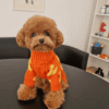 Camisola de Malha para Cão – Padrão Patinhos