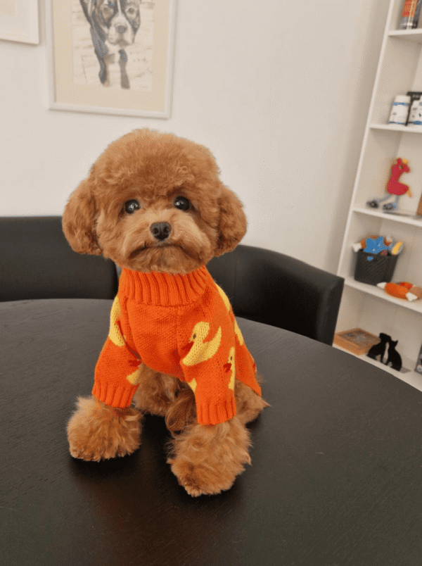 Camisola de Malha para Cão – Padrão Patinhos