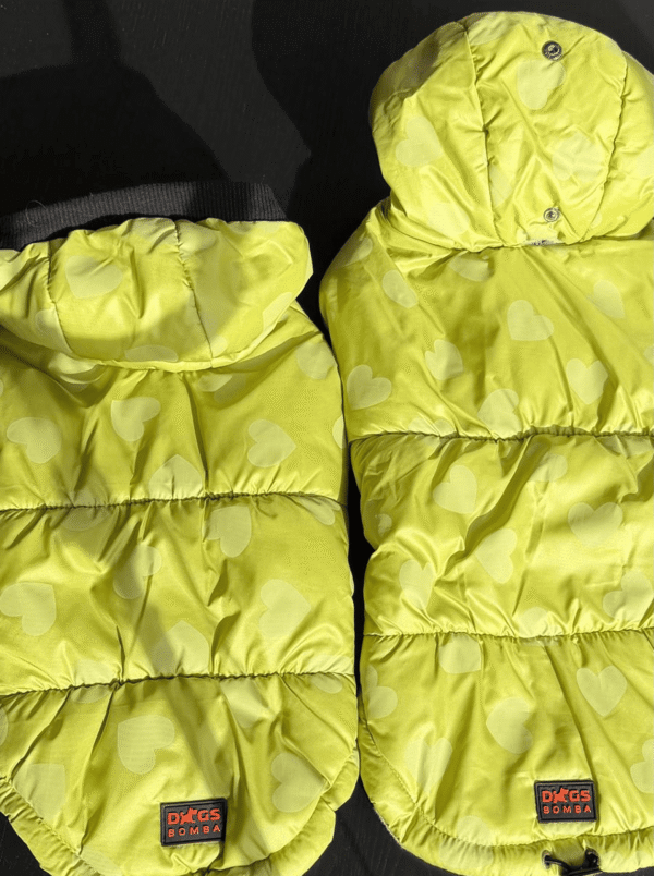 Colete Acolchoado para Cão com Capuz – Corações Verde Lima