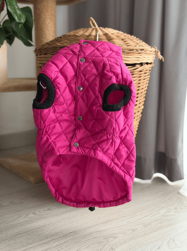 Casaco Acolchoado para Cão – Modelo Conforto