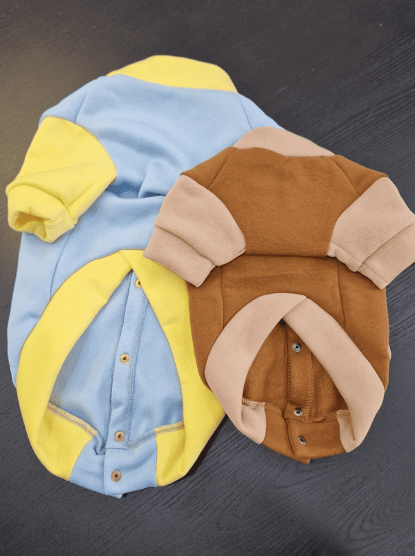 Casaco Varsity Style para Cão