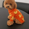 Camisola de Malha para Cão – Padrão Patinhos