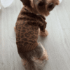 Camisola de Malha para Cães – "Estilo Selvagem & Chic"