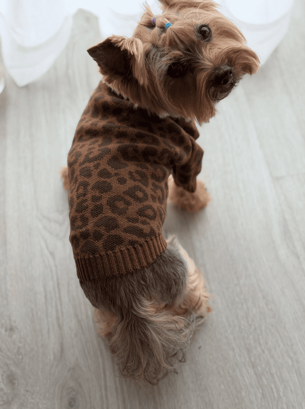 Camisola de Malha para Cães – "Estilo Selvagem & Chic"