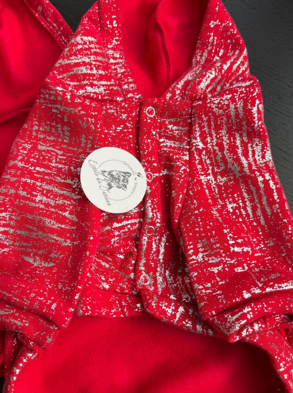 Hoodie "Silver Shine" Vermelho — Coleção Exclusiva Estilo da Tatiana